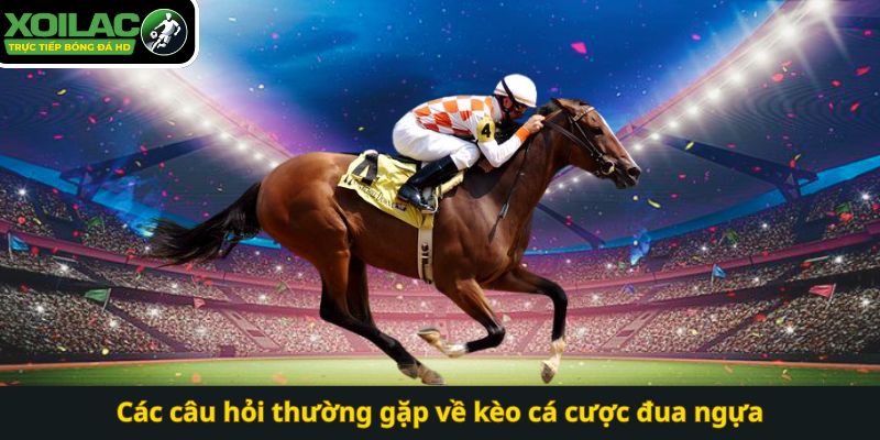 Các câu hỏi thường gặp về kèo cá cược đua ngựa
