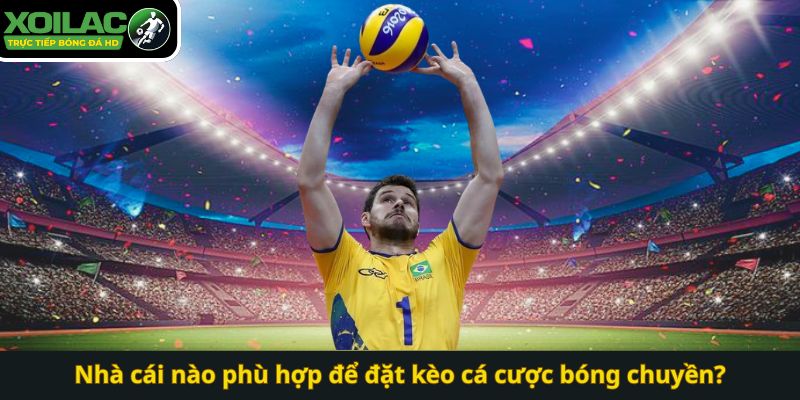 Nhà cái nào phù hợp để đặt kèo cá cược bóng chuyền?